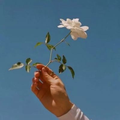 kok中欧登录入口手机app下载